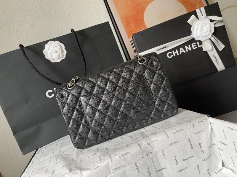 Ch**el cf series bags 4224-1901