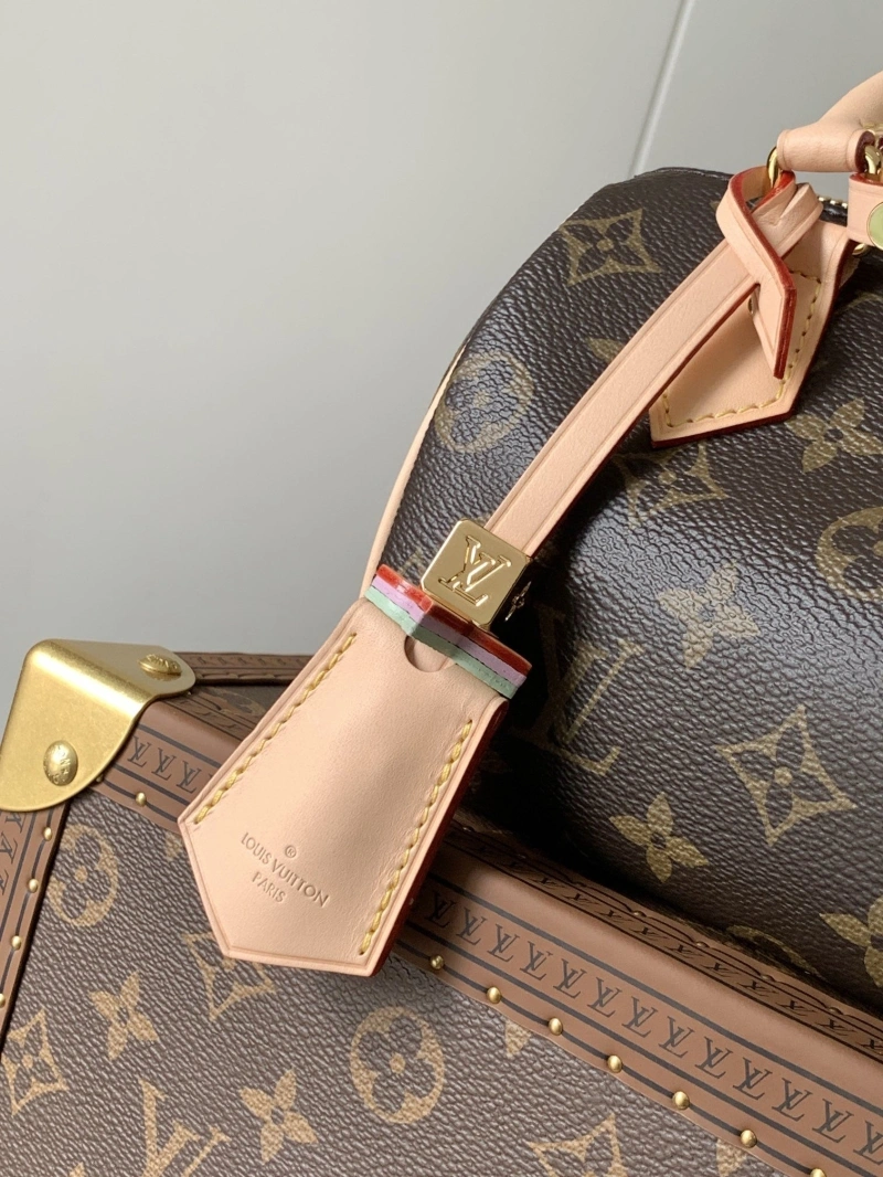 LV Speedy Bags 4233A-2138