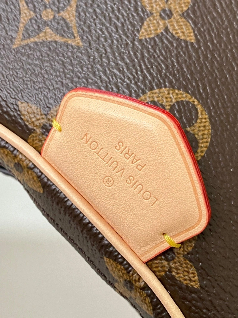 LV Satchel bags 4233G-0176