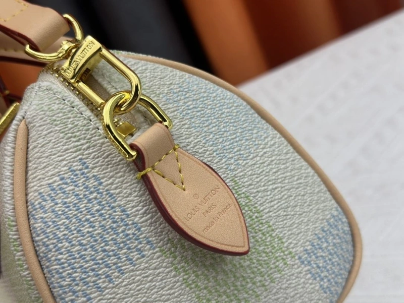 LV Speedy Bags 4233G-0561