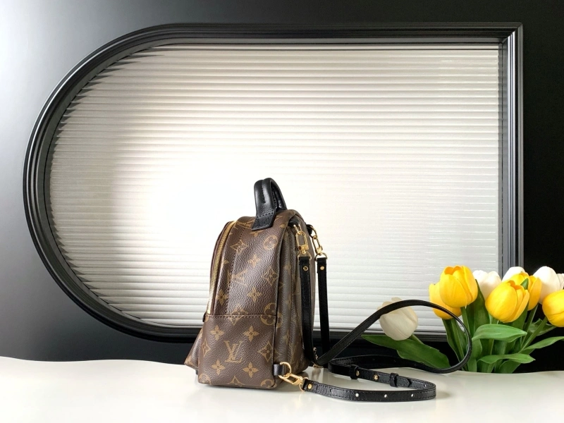 LV Backpacks 4233H-0562