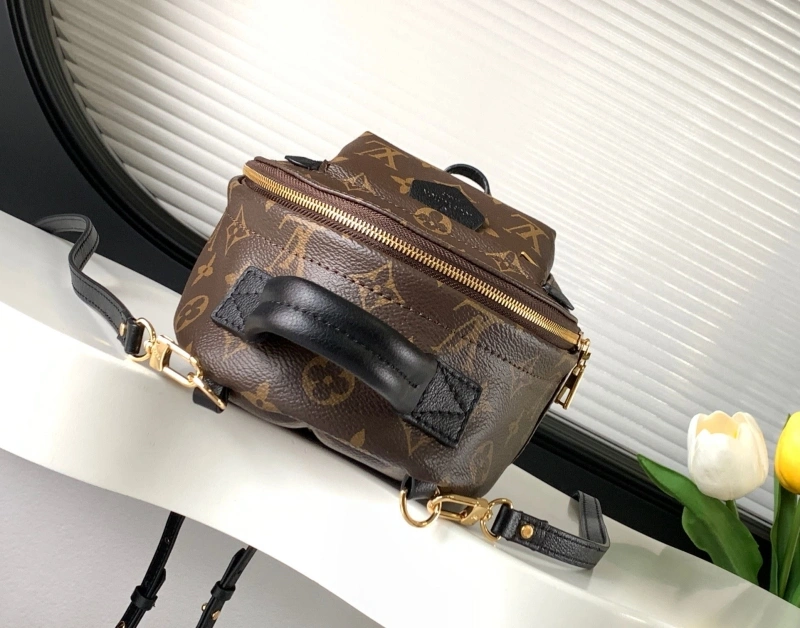 LV Backpacks 4233H-0562