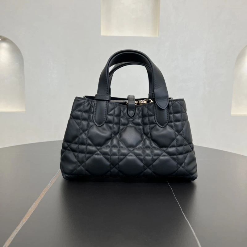 D10r shopping bags 4250i-0119