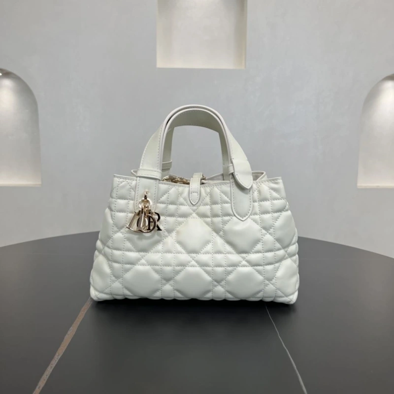 D10r shopping bags 4250i-0120