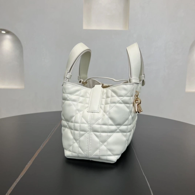 D10r shopping bags 4250i-0120