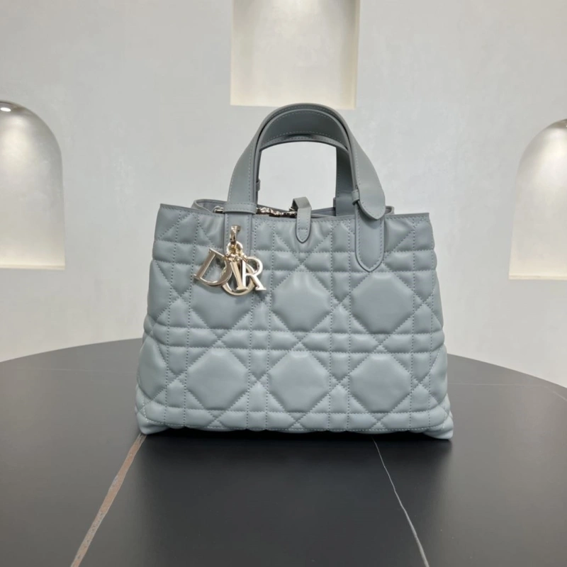 D10r shopping bags 4250i-0124