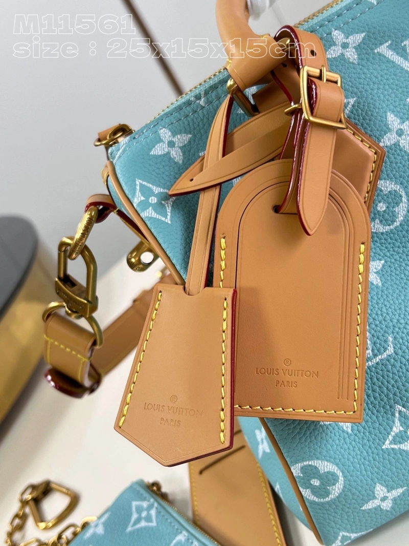 LV Speedy Bags 4286G-0198