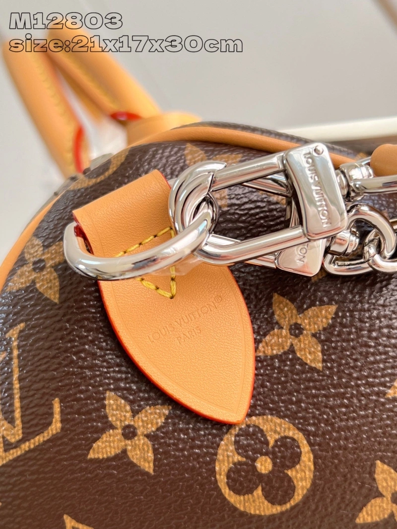 LV Speedy Bags 4365A-0179