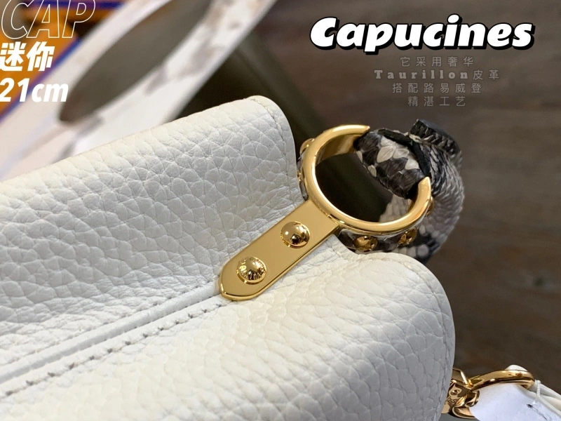 LV Capucines Bags 4365G-0024