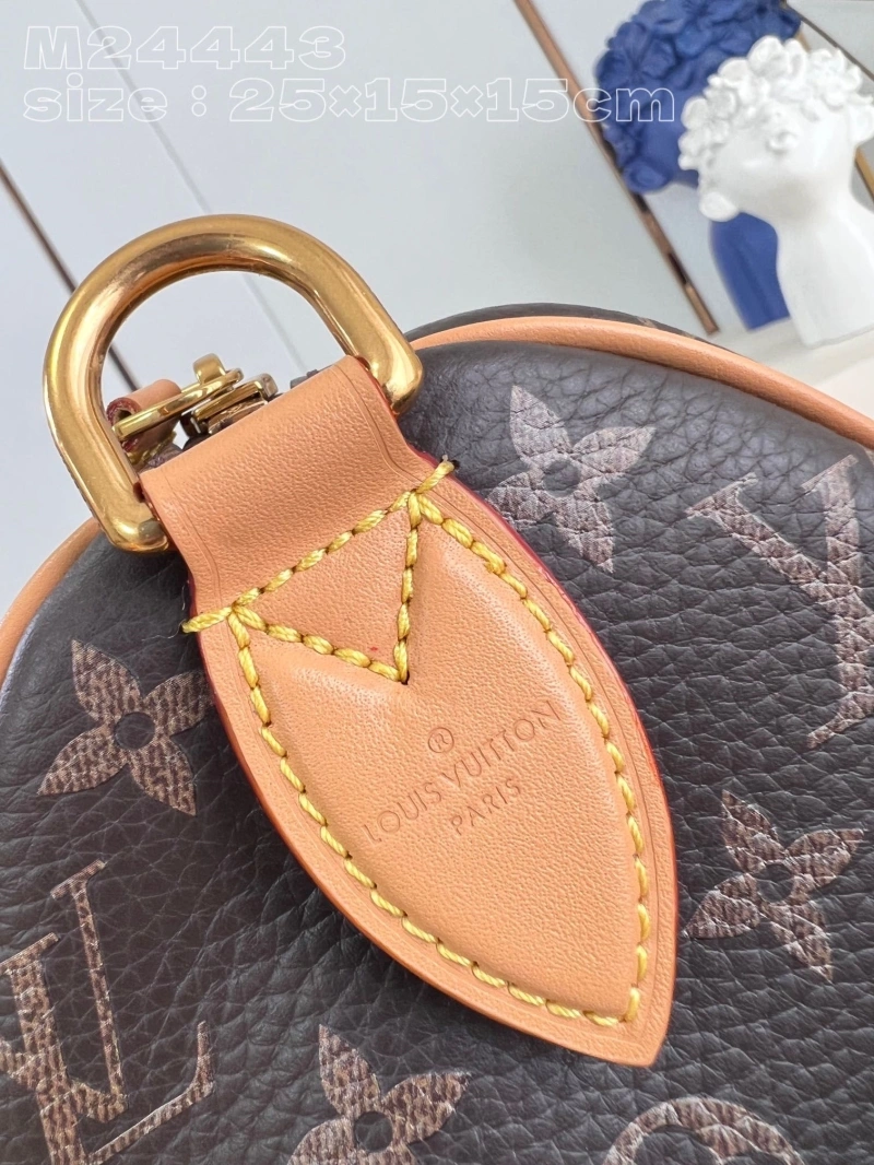 LV Speedy Bags 4365G-0041