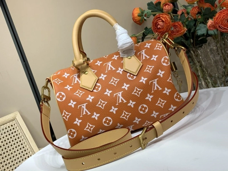 LV Speedy Bags 4365H-0263