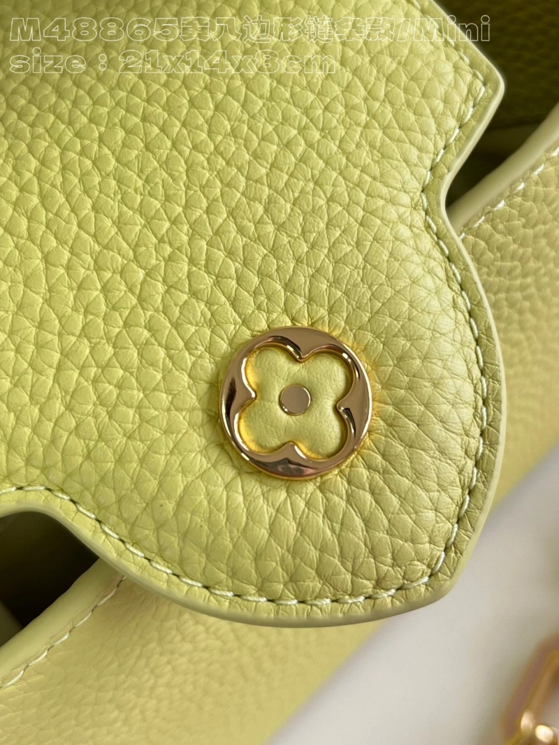 LV Capucines Bags 4365I-0454