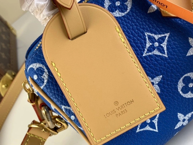 LV Speedy Bags 4365I-0580