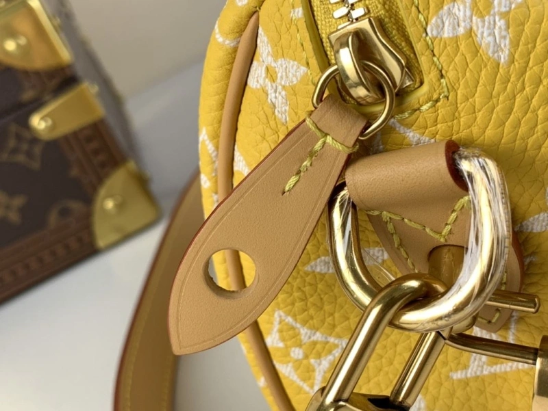 LV Speedy Bags 4365I-0581