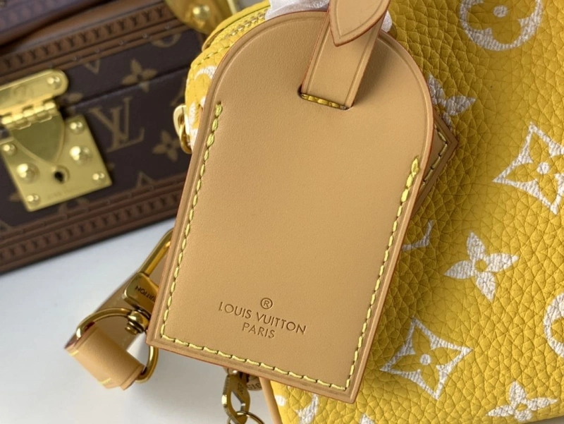 LV Speedy Bags 4365I-0581